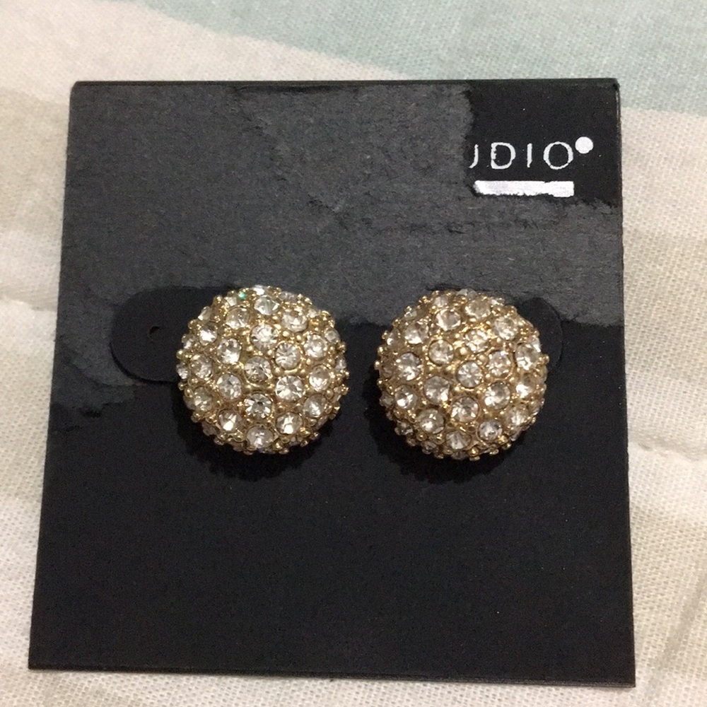 3/10 BNWT earrings